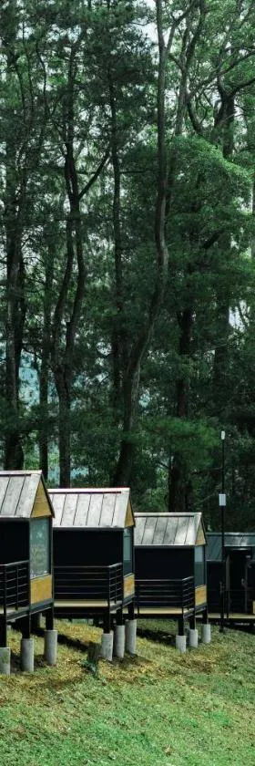 Bobocabin Coban Rondo, Malang，位于Songgoriti的酒店