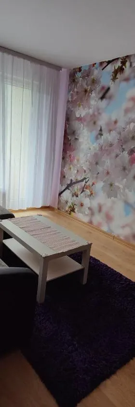 Dainai Apartament，位于希奥利艾的酒店