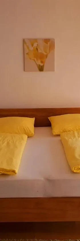Apartmán U Slunečnice，位于Husinec的酒店