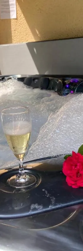 Gîte des Combes Blanches avec piscine et jacuzzi，位于Frayssinet-le-Gélat的酒店