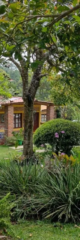 HOSTAL CABAÑAS AVE MARIA，位于康塞普西翁德阿塔科的酒店