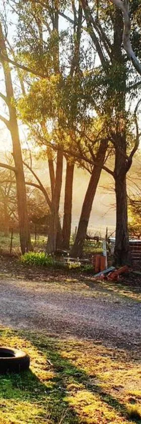 Eco - Relax and Unwind - Greenwich Park，位于Greenwich Park的酒店