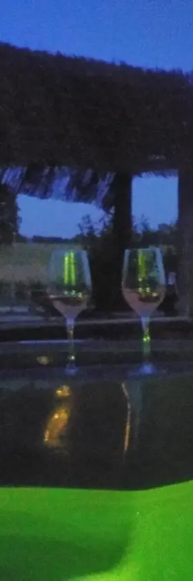 Soirée romantique avec Bain Nordique sur Domaine Equestre, Studio Tout Confort，位于Chapelle-Voland的酒店