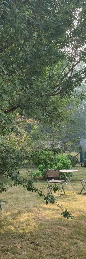Chalet dans la Foret....Adorable 1 bedroom chalet surrounded by woodland，位于Pressignac的酒店