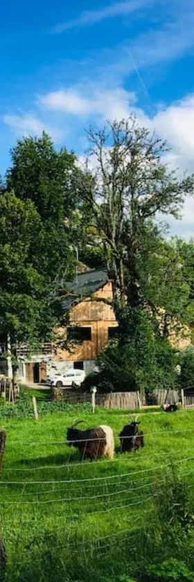 Gîte le creux de vennes，位于Guyans-Vennes的酒店
