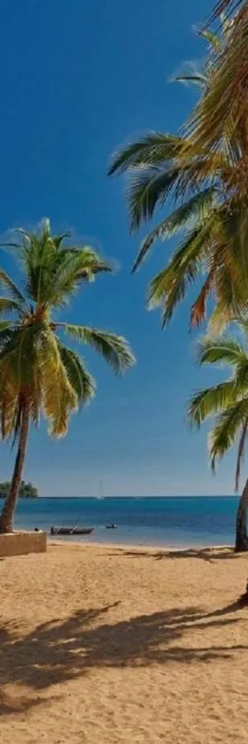 Orangea Beach Resort，位于安迪拉纳的酒店