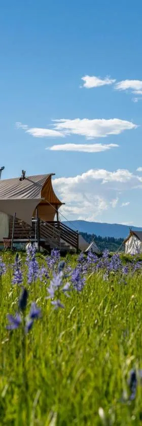 Under Canvas West Yellowstone，位于西黄石的酒店