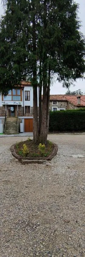 El Pino，位于Penagos的酒店