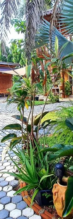 Baan Suan Taboon Homestay，位于清莱的酒店