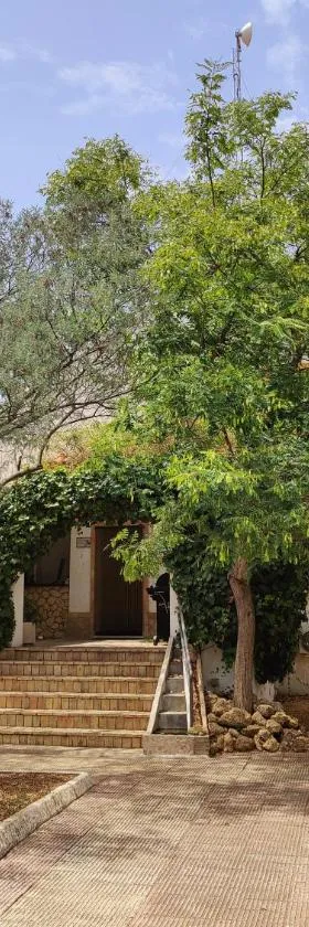 Cortijo Los Conquistadores，位于Lucena del Puerto的酒店