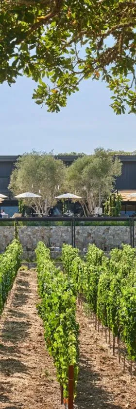 Montage Healdsburg，位于希尔兹堡的酒店