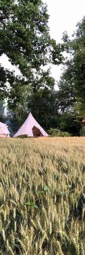 Cowcooning / Family tents，位于Huldenberg的酒店