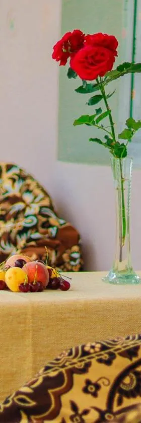Tamara B&B，位于Dsegh的酒店