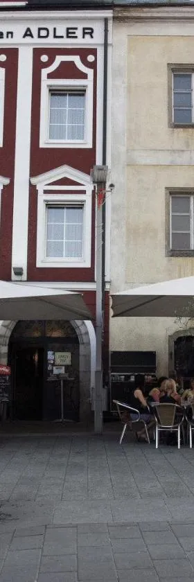 维诺泰克斯华泽尔酒店，位于奥滕斯海姆的酒店