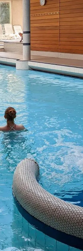 Hotel Restaurant & Spa Verte Vallée，位于蒙斯特的酒店