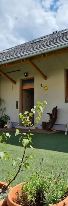 BikeSki family hotel, b&b, apartaments, rooms，位于Mežica的酒店