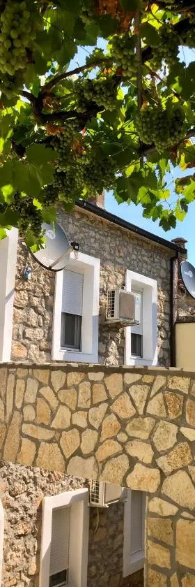 Vila Razic，位于Danilovgrad的酒店