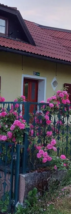 Kuća za odmor ,Erdelj 21 B，位于Generalski Stol的酒店