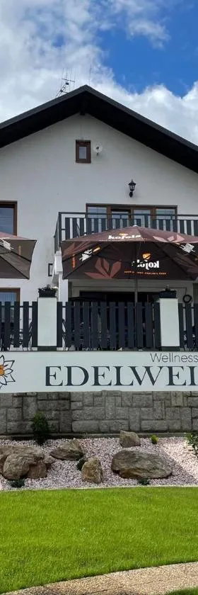 Wellness Hotel Edelweiss，位于利贝雷茨的酒店
