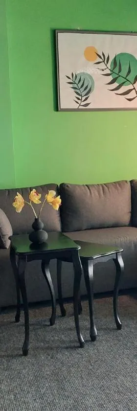 Mila Studio，位于Bač的酒店