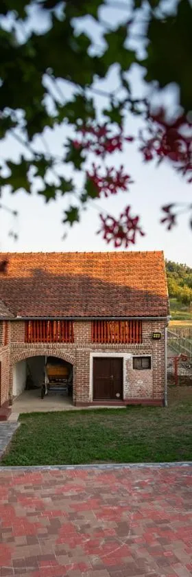 Salaš 318 - B&B Farm Experience，位于Drenovac的酒店