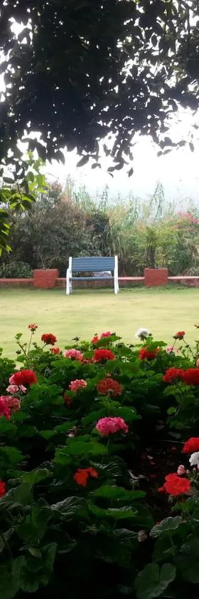 Bella Vista Mahabaleshwar，位于马哈巴莱斯赫瓦尔的酒店