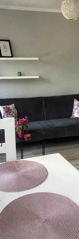 Apartament Pan Tadeusz，位于奥尔什丁的酒店