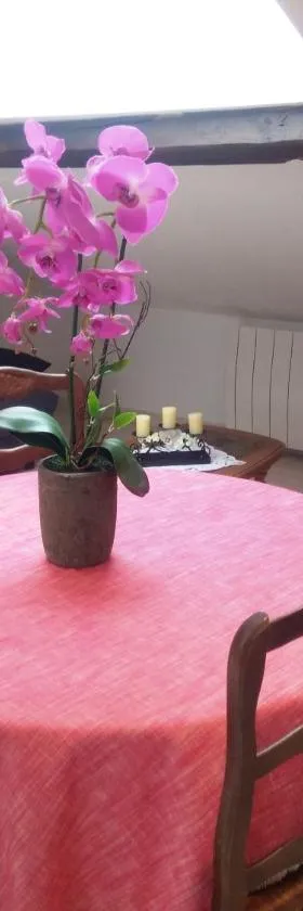 Appartement en location touristique pour 4 personnes，位于Docelles的酒店