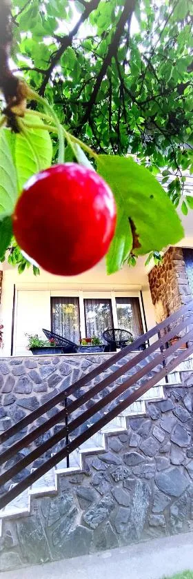 Grandma's apartment，位于Velika的酒店