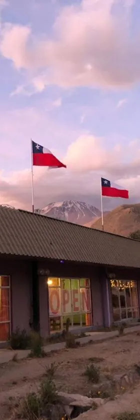 Hotel Las Vicuñas，位于普特雷的酒店