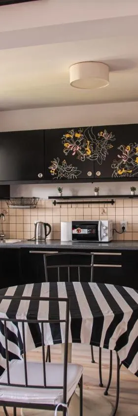 SDH 2 Radzymin comfortable apartment near Warsaw，位于拉济明的酒店