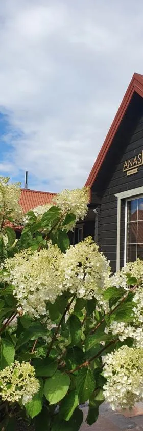 Anas Namas，位于Žagarė的酒店
