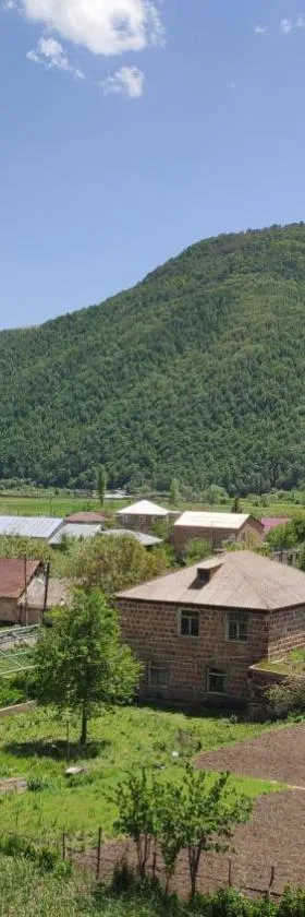 Eco Guest House Meghradzor，位于Meghradzor的酒店