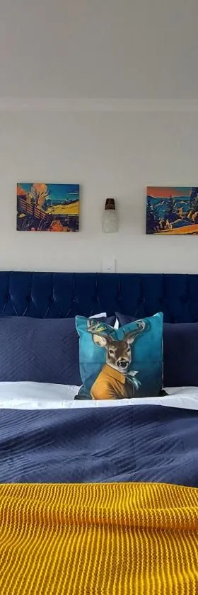 DuxHouse BnB，位于泰哈皮的酒店