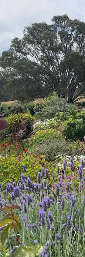 River Gardens Axedale Pet Friendly Farmstay B&B，位于Axedale的酒店