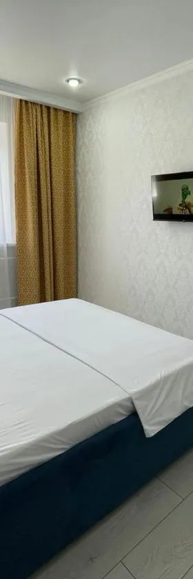 АУЕЗОВА 189б ЖК Салтанат Центр Евродвушка с 2 х спальной кроватью и двумя диванами，位于科克舍套的酒店