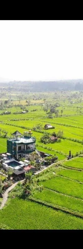 谷米巴厘旅馆，位于Tirtagangga的酒店