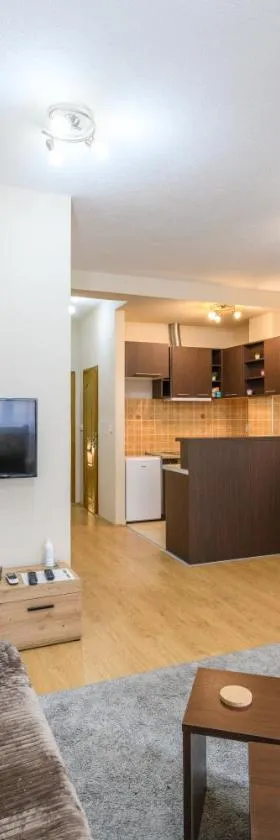 Lux Apartman D&N，位于Svilajnac的酒店