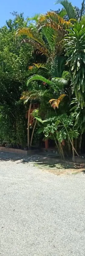Pina House，位于白马市的酒店