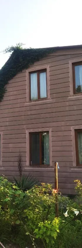 Roin Guest House，位于格里戈莱蒂的酒店