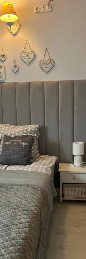Comfort Zone Ostróda Apartment 1，位于Grabinek的酒店