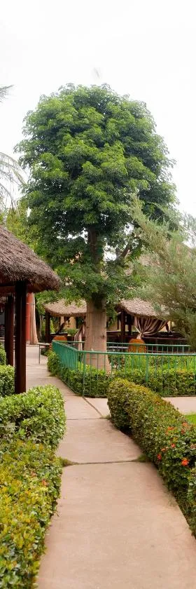 Le Baobab，位于巴马科的酒店