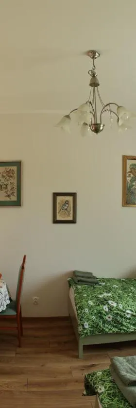 Zielona Przystań，位于Boruja的酒店