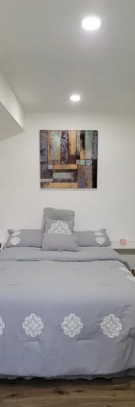 Cozy studio apt，位于奥兰多的酒店