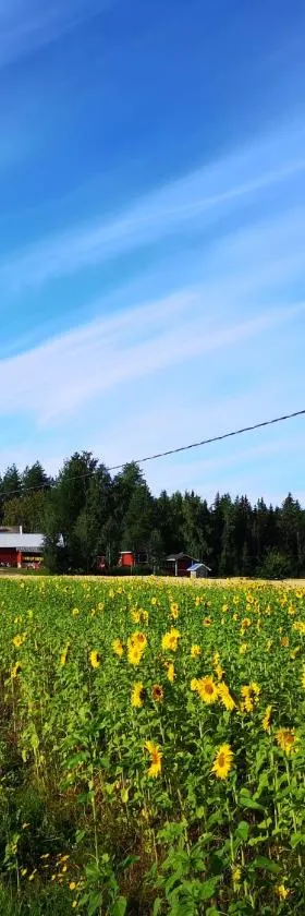 玛提拉玛特凯鲁劳玛奇酒店，位于Peräseinäjoki的酒店