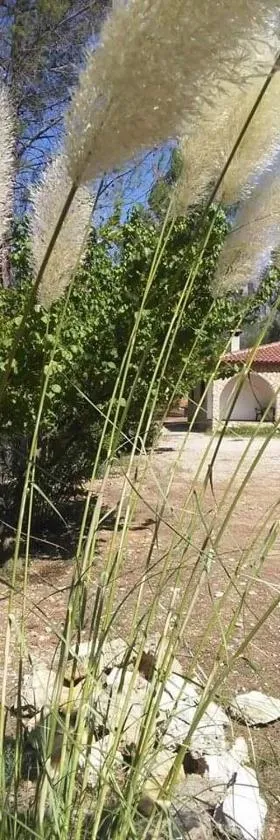 CASAS RURALES LA TOBICA，位于耶斯特的酒店