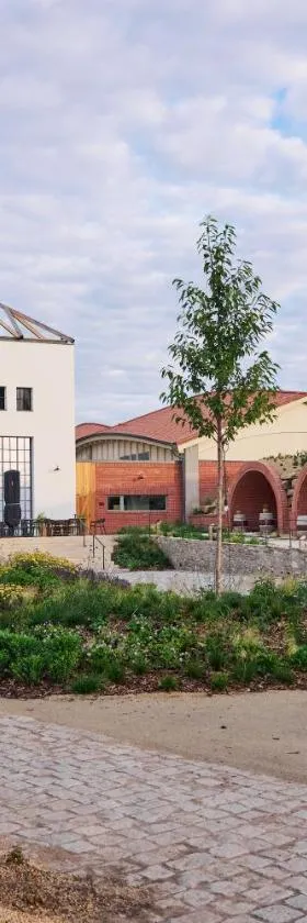 THAYA vinařství，位于兹诺伊莫的酒店
