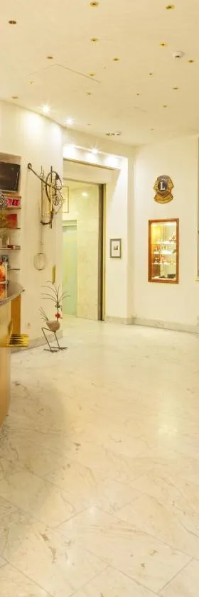 萨梅劳提契诺瑞士品质酒店，位于迪蒂孔的酒店