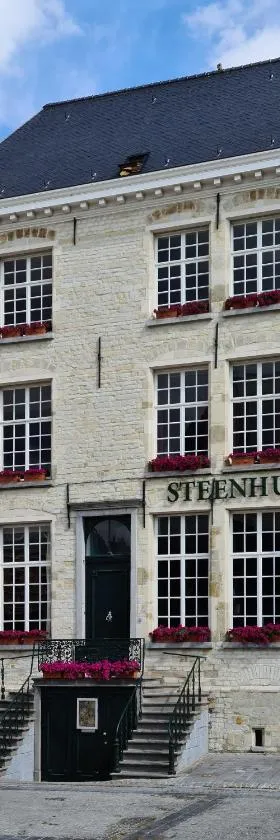 Hotel Restaurant Steenhuyse，位于奥德纳尔德的酒店