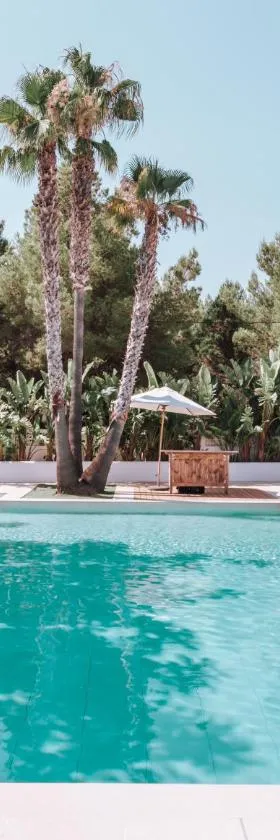 Hotel Boutique & Spa Las Mimosas Ibiza，位于圣安东尼奥湾的酒店